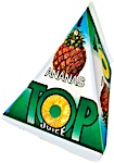 Top Juice Pyramid Ananas 180 ml