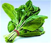 Spinach - 1.5 Kg
