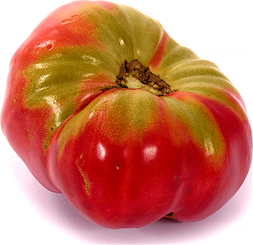 Tomato Jabaliyeh 0.5 kg