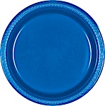 Blue Plates 10's 23 cm