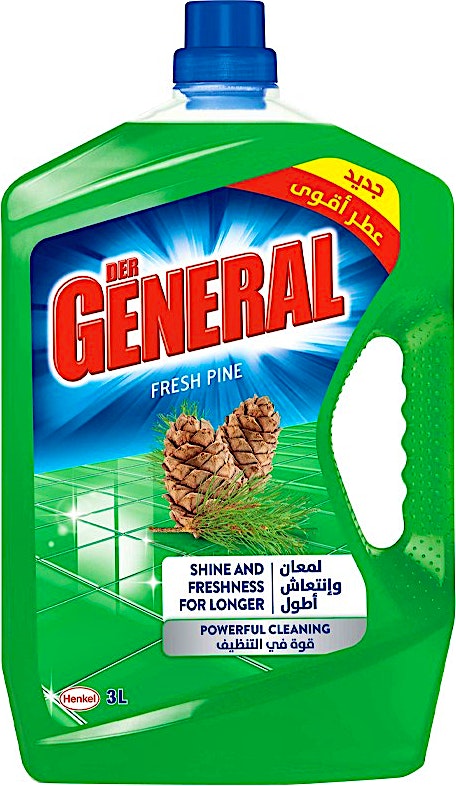 Der General Pine Fresh 3 L