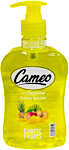 Cameo Antibactrial Hand Wash Exotic Fruit 500 ml