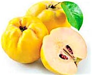 Quince Fruit Baladi 0.5 kg