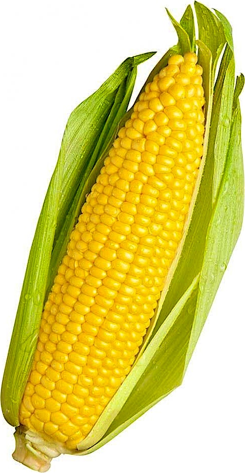 Corn Cob Baladi 1 pc