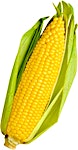 Corn Cob Baladi 1 pc
