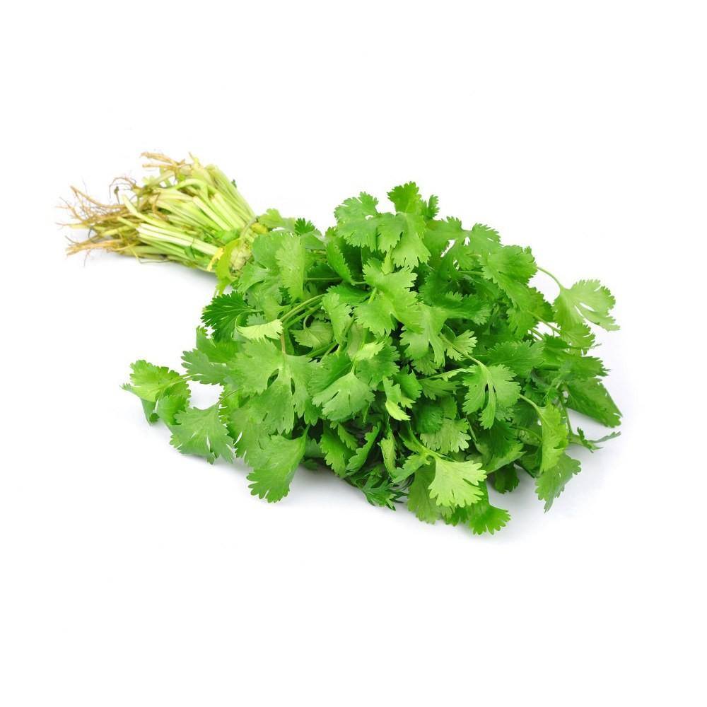Coriander Bunch 1 pc Buy Online at Best Price in Lebanon, Beirut