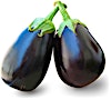 Eggplant Rounded Baladi 0.5 kg