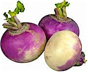 Turnip 0.5 kg