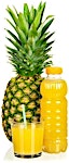 Ananas Juice Bottle